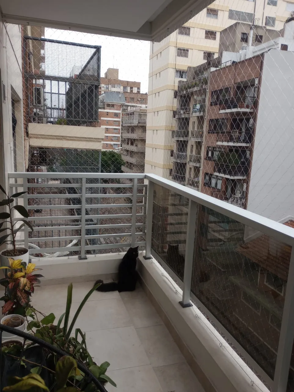 Redes de protección en Belgrano: trabajo realizado 6